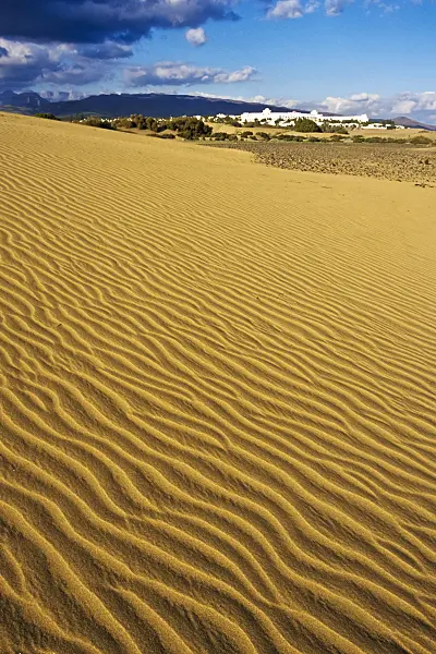 397041 - Shifting sand dunes, Maspalomas, Gran Canaria, Spain