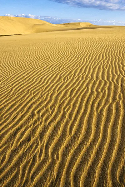 397043 - Shifting sand dunes, Maspalomas, Gran Canaria, Spain