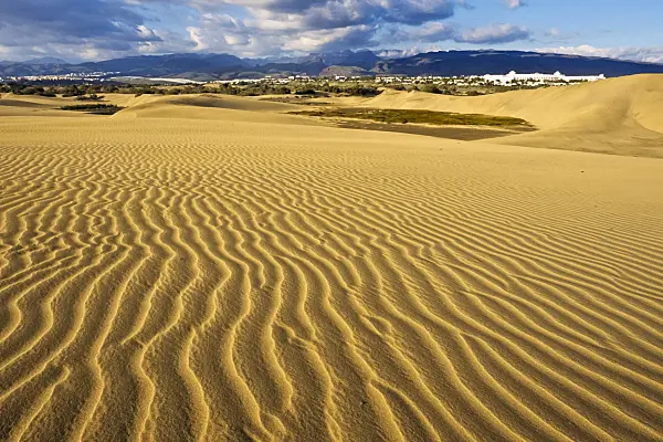 397044 - Shifting sand dunes, Maspalomas, Gran Canaria, Spain