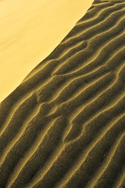 397045 - Shifting sand dunes, Maspalomas, Gran Canaria, Spain