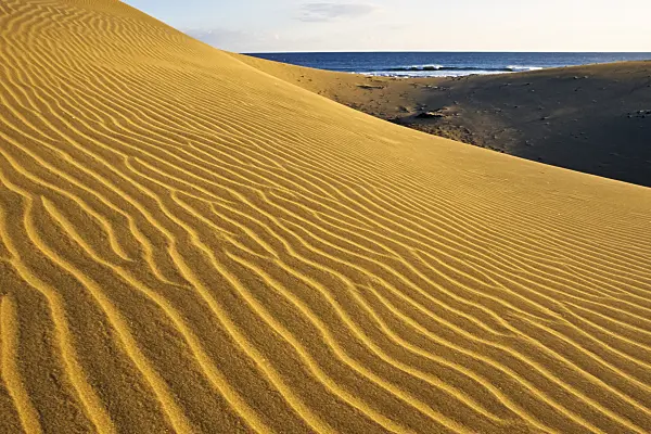 397047 - Shifting sand dunes, Maspalomas, Gran Canaria, Spain