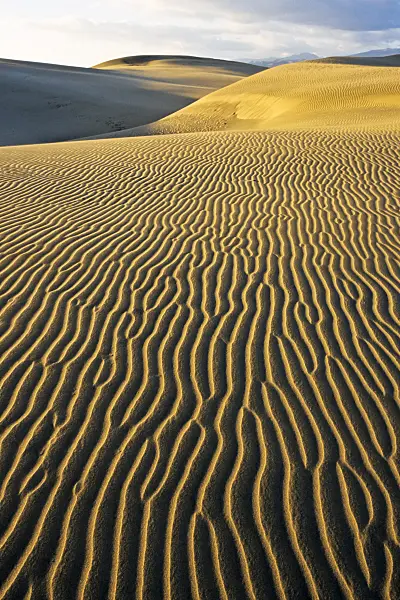 397048 - Shifting sand dunes, Maspalomas, Gran Canaria, Spain