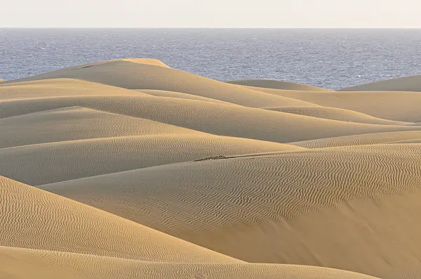 564055 - Shifting sand dunes, Maspalomas, Gran Canaria, Spain
