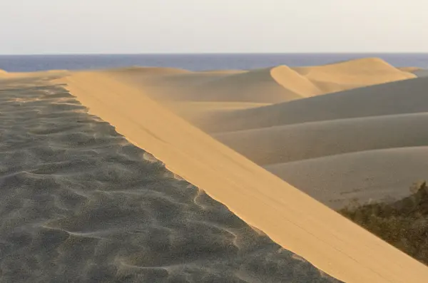 564058 - Shifting sand dunes, Maspalomas, Gran Canaria, Spain