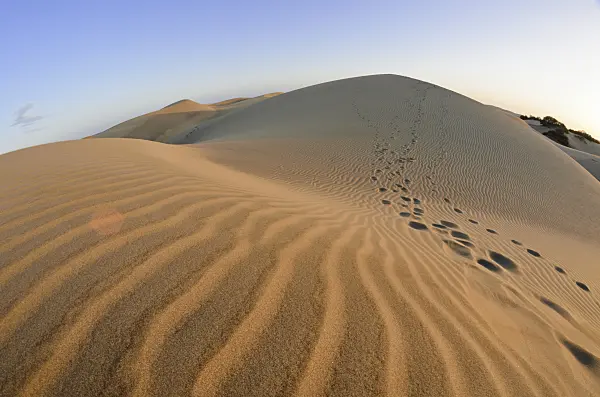 564062 - Shifting sand dunes, Maspalomas, Gran Canaria, Spain
