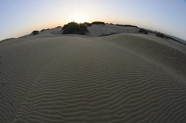564063 - Shifting sand dunes, Maspalomas, Gran Canaria, Spain