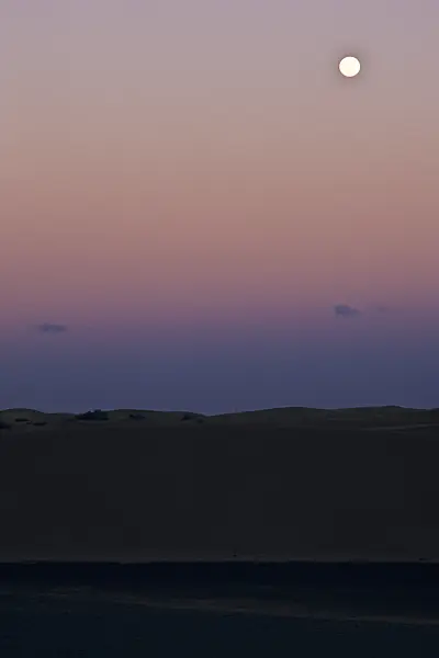 397049 - Shifting sand dunes with moon, Maspalomas, Gran Canaria, Spain