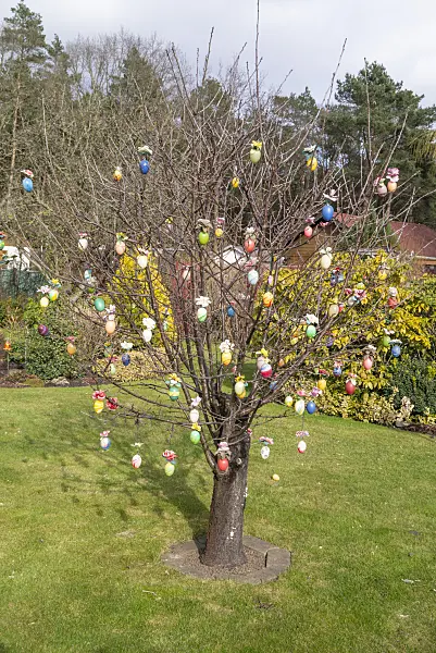 625026 - Shrub with Easter eggs