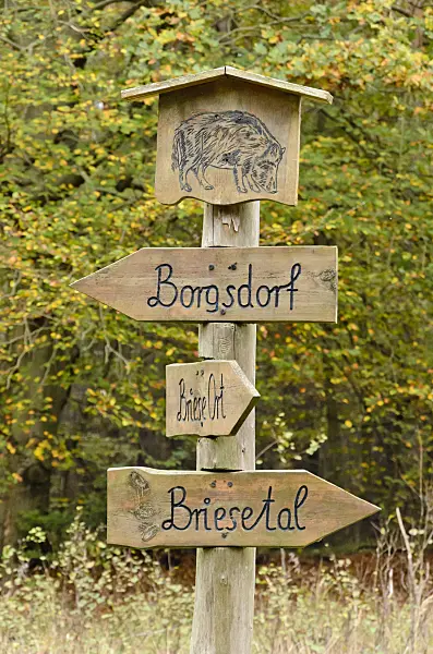 537032 - Signpost, Brandenburg, Germany