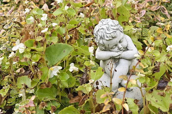 466066 - Sleeping putto