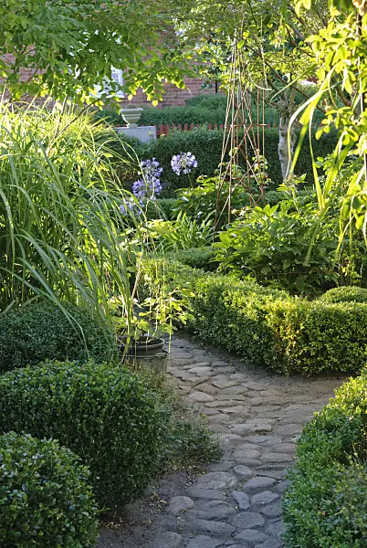 475270 - Small formal garden with box hedges