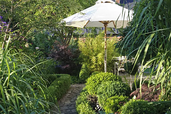 475271 - Small formal garden with seating area and sunshade