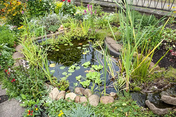 464058 - Small garden pond surrounded by stone slabs and large pebbles