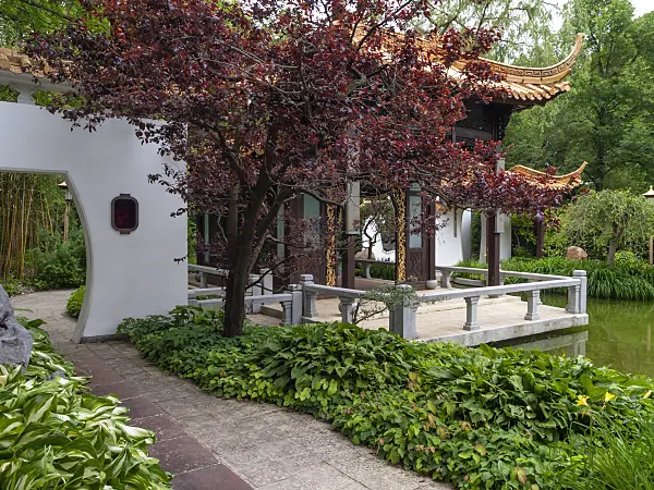 426090 - Small pagoda with wooden terrace and pond, Chinese Garden, Westpark, Munich, Germany