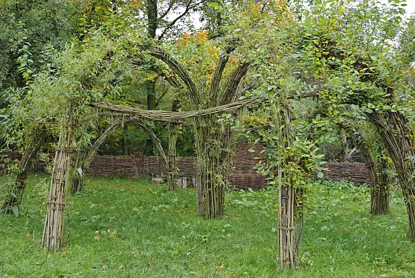 479045 - Small willow dome
