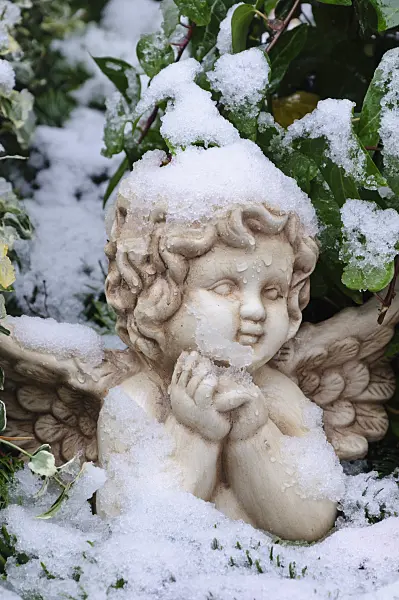 466082 - Snow-covered angel