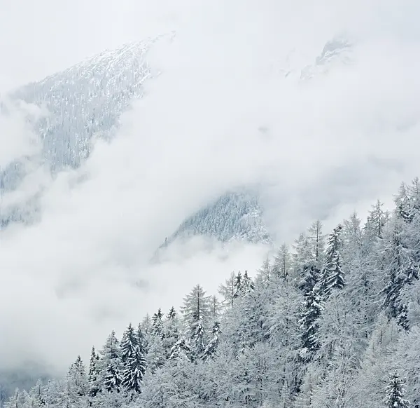 244013 - Snow-covered mountain slope, Berchtesgaden National Park, Germany