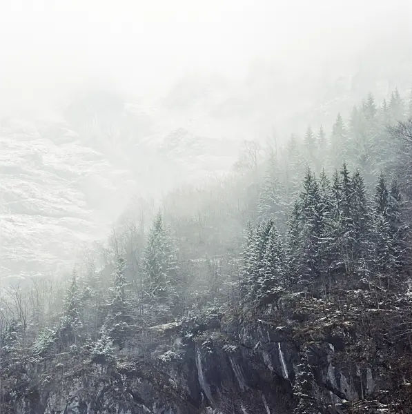 244015 - Snow-covered mountain slope, Berchtesgaden National Park, Germany