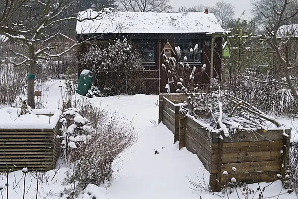 529002 - Snow-covered raised beds in front of a summerhouse in a winter garden