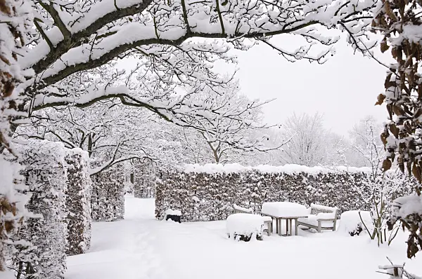 491066 - Snowy garden with seating area