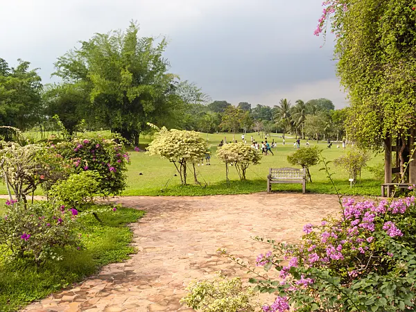 411268 - Spacious tropical park with rainy skies