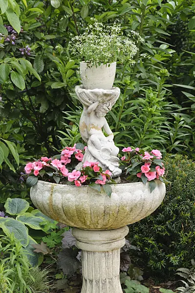473101 - Spurge (Euphorbia hypericifolia 'Diamond Frost') and buzy Lizzie (Impatiens walleriana) in a fountain