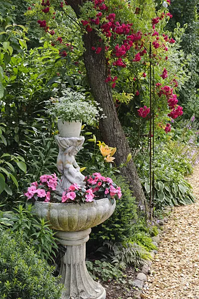 474152 - Spurge (Euphorbia hypericifolia 'Diamond Frost') and buzy Lizzie (Impatiens walleriana) in a fountain