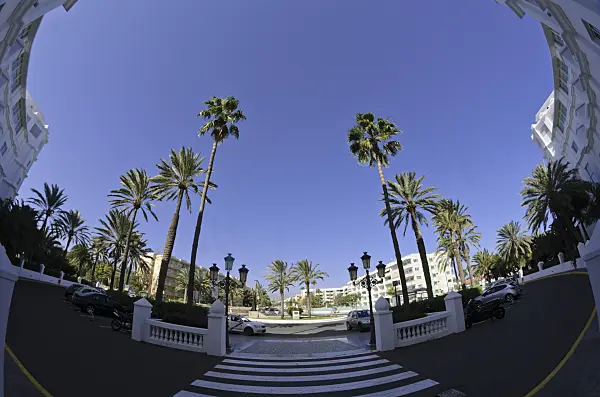 564051 - Square with palms, Playa del Ingles, Gran Canaria, Spain