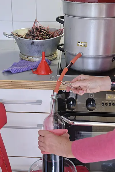 483041 - Squeezing elderberries