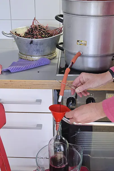 483042 - Squeezing elderberries