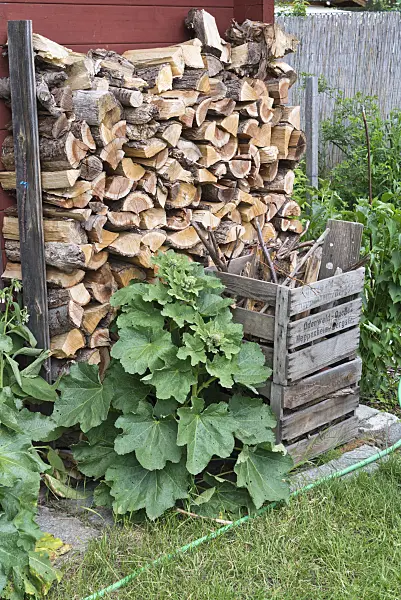 557047 - Stack of wood in a natural garden