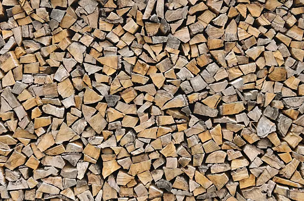 524067 - Stacks of logs for the cold season
