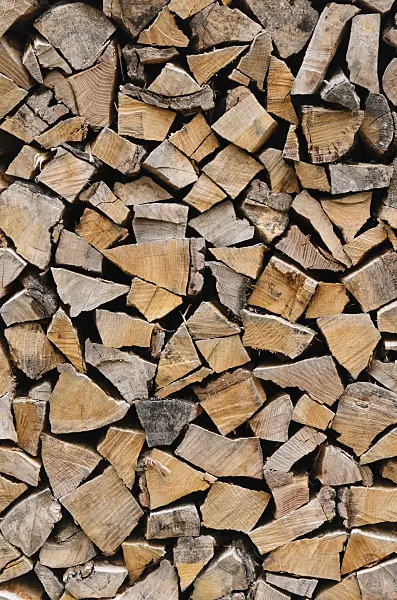 524068 - Stacks of logs for the cold season