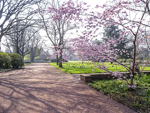447061 - Stadtpark, Hanover, Germany
