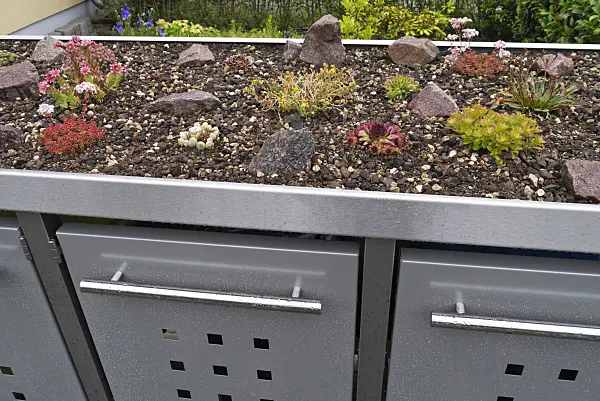 534265 - Sukkulenten auf einer Mülltonnenbox aus Metall