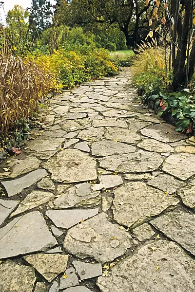 395058 - Sunny garden path with irregular stone slabs in an autumnal garden