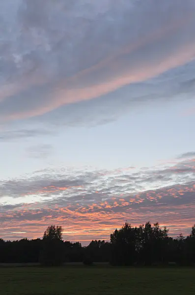 500082 - Sunset at Karower Seen Nature Reserve, Berlin, Germany