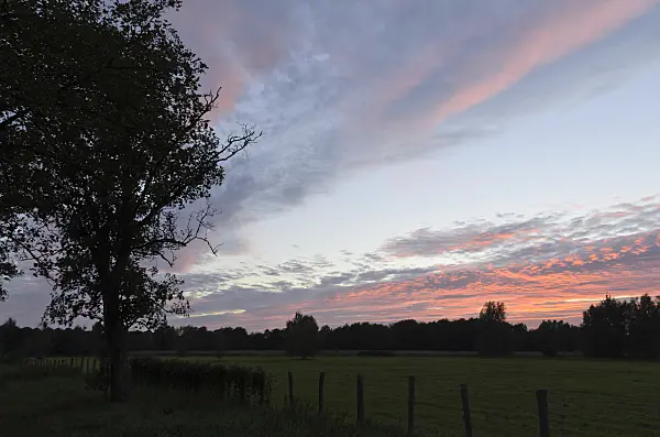 500083 - Sunset at Karower Seen Nature Reserve, Berlin, Germany