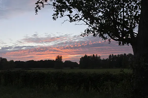 500084 - Sunset at Karower Seen Nature Reserve, Berlin, Germany