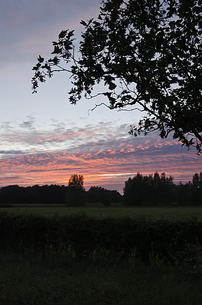500085 - Sunset at Karower Seen Nature Reserve, Berlin, Germany