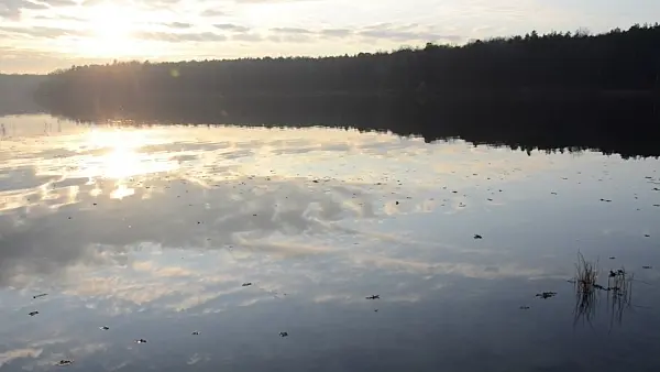 502060 - Sunset at Sacrower See, Königswald Nature Reserve, Germany