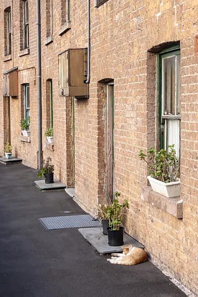 454191 - Susannah Place Museum, Sydney, Australia