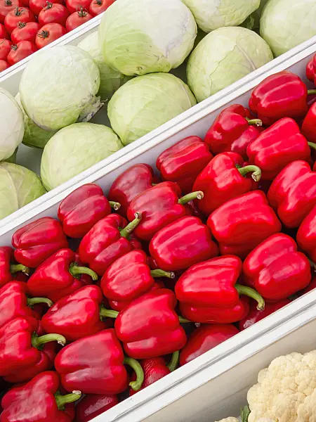 403040 - Sweet pepper (Capsicum) and white cabbage (Brassica oleracea var. capitata f. alba)