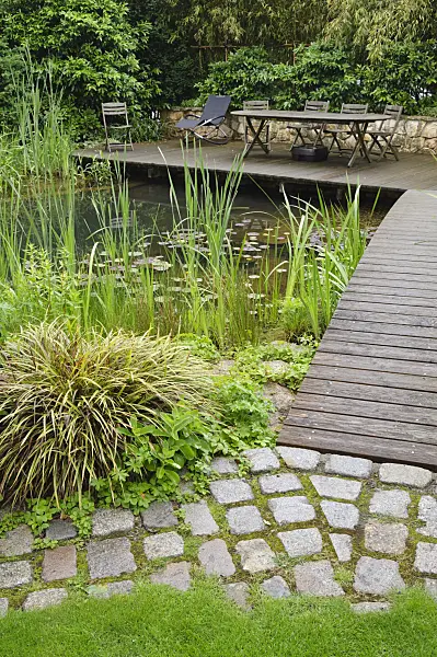 473135 - Swimming pond with wooden decking area