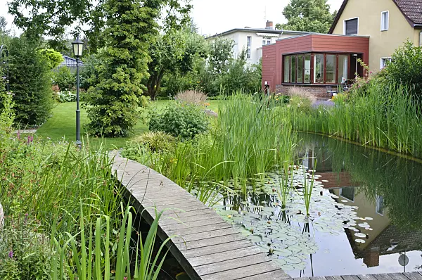 474040 - Swimming pond with wooden decking area