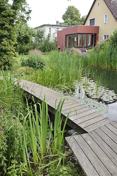 474044 - Swimming pond with wooden decking area