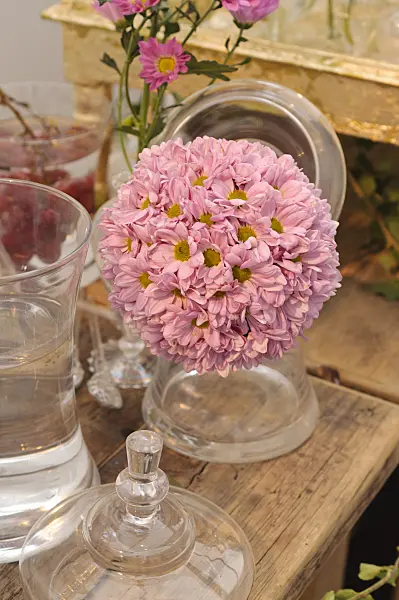 476236 - Table decoration with chrysanthemums (Chrysanthemum)
