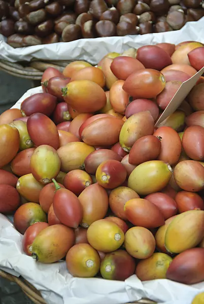 517284 - Tamarillo (Solanum betaceum syn. Cyphomandra betacea)