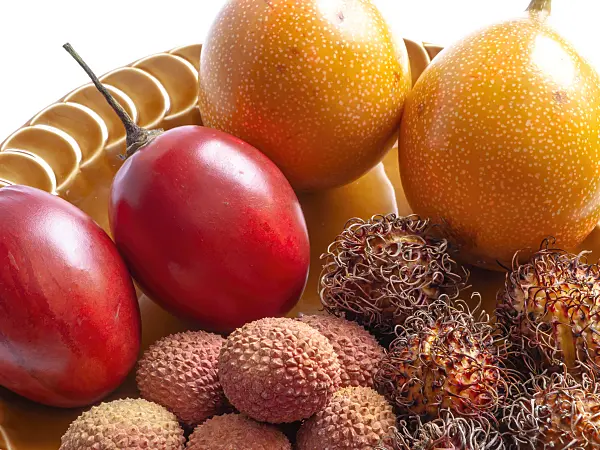 434002 - Tamarillo (Solanum betaceum syn. Cyphomandra betacea), sweet granadilla (Passiflora ligularis), lychee (Litchi sinensis) and rambutan (Nephelium lappaceum)
