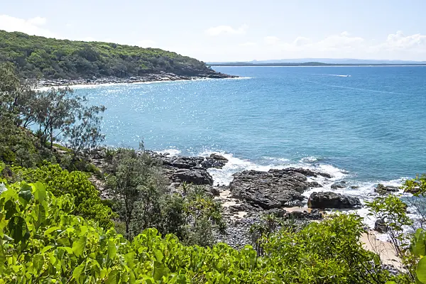 455129 - Tea Tree Bay, Noosa National Park, Australia